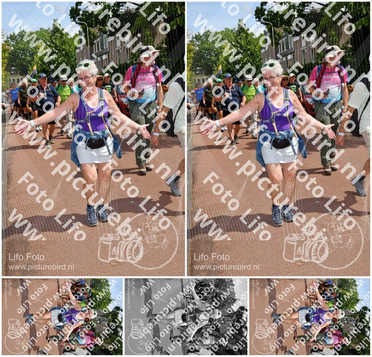 Evenement foto: Nijmeegse Vierdaagse 1170