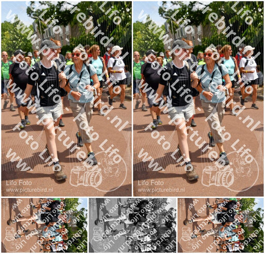 Evenement foto: Nijmeegse Vierdaagse 1170