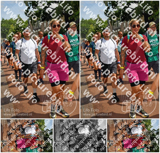 Evenement foto: Nijmeegse Vierdaagse 1170