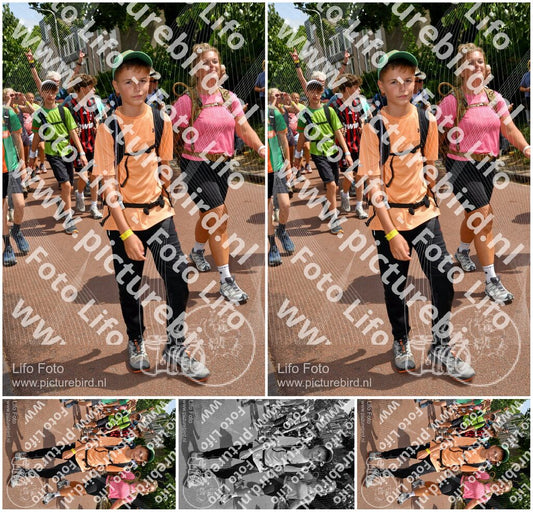Evenement foto: Nijmeegse Vierdaagse 1170