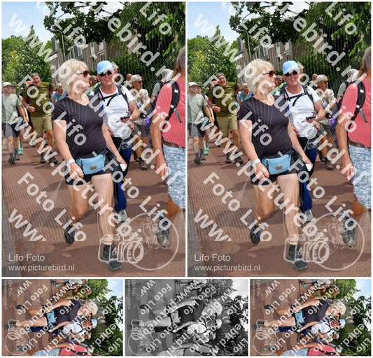 Evenement foto: Nijmeegse Vierdaagse 1170