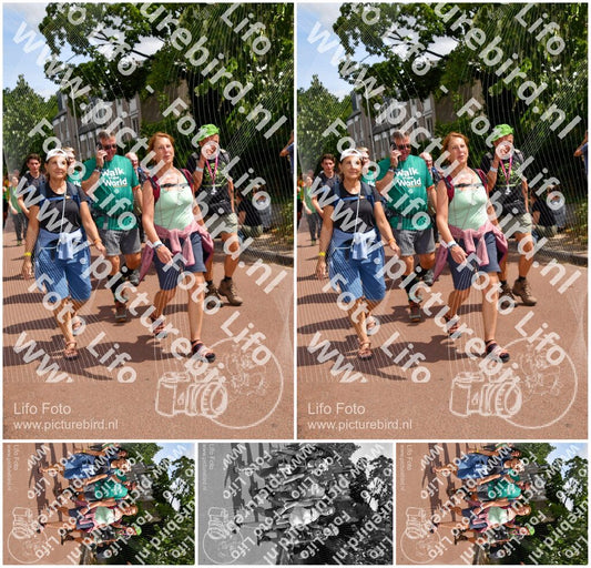 Evenement foto: Nijmeegse Vierdaagse 1170