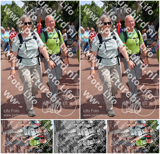 Evenement foto: Nijmeegse Vierdaagse 1170