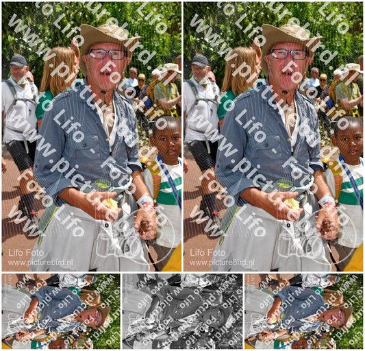 Evenement foto: Nijmeegse Vierdaagse 1170