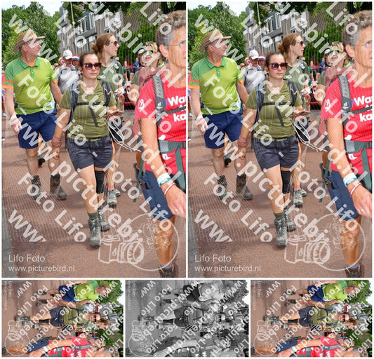Evenement foto: Nijmeegse Vierdaagse 1170