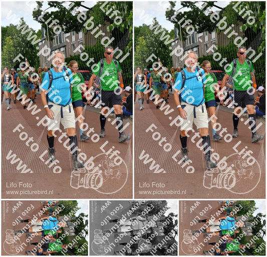 Evenement foto: Nijmeegse Vierdaagse 1170