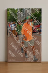 Evenement foto: Nijmeegse Vierdaagse 1170