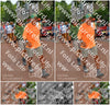 Evenement foto: Nijmeegse Vierdaagse 1170