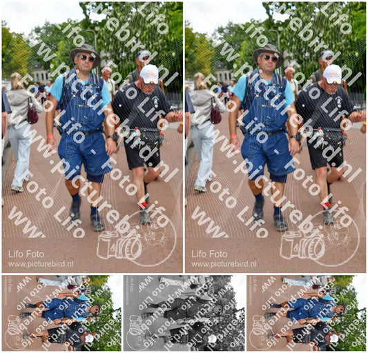 Evenement foto: Nijmeegse Vierdaagse 1169