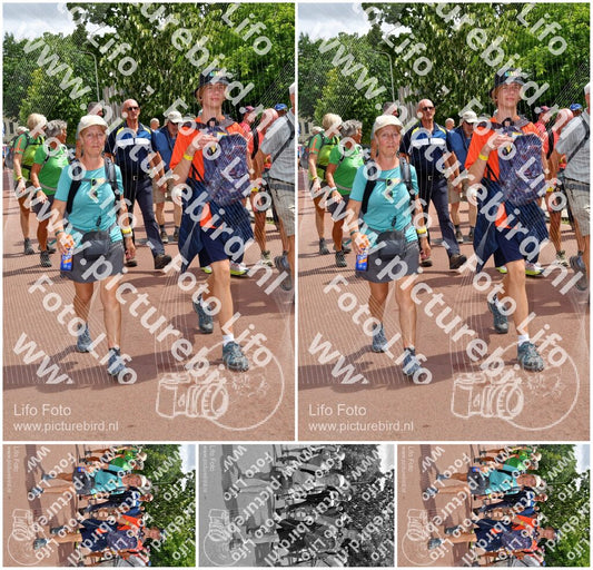 Evenement foto: Nijmeegse Vierdaagse 1169