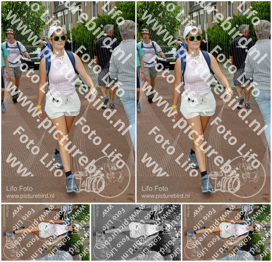 Evenement foto: Nijmeegse Vierdaagse 1169