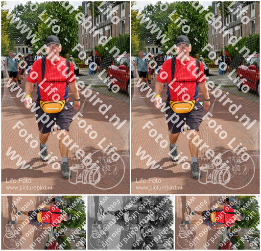 Evenement foto: Nijmeegse Vierdaagse 1169