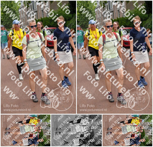 Evenement foto: Nijmeegse Vierdaagse 1169