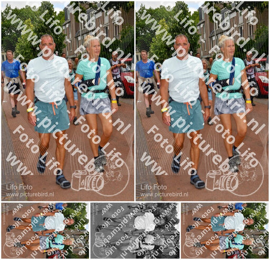 Evenement foto: Nijmeegse Vierdaagse 1169