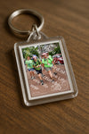 Evenement foto: Nijmeegse Vierdaagse 1169
