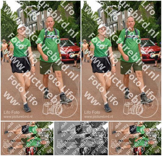 Evenement foto: Nijmeegse Vierdaagse 1169
