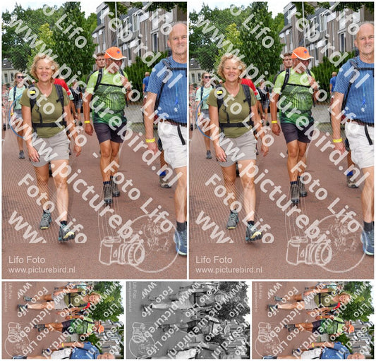 Evenement foto: Nijmeegse Vierdaagse 1169