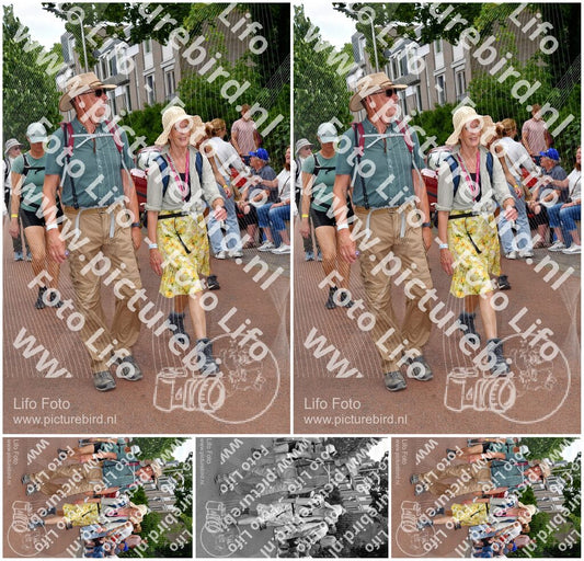 Evenement foto: Nijmeegse Vierdaagse 1169