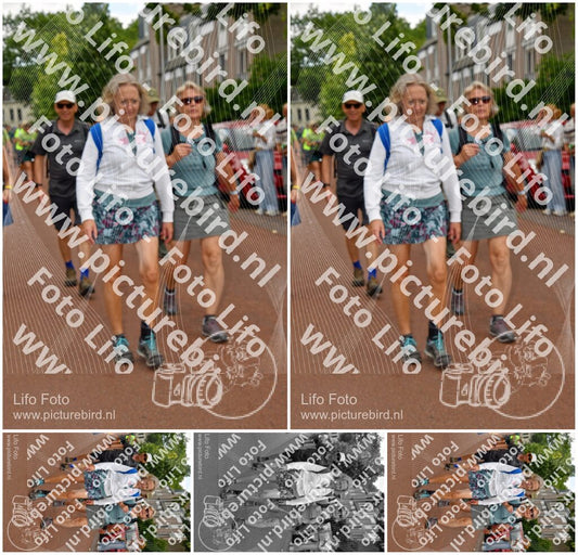 Evenement foto: Nijmeegse Vierdaagse 1169