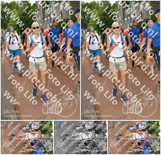 Evenement foto: Nijmeegse Vierdaagse 1169
