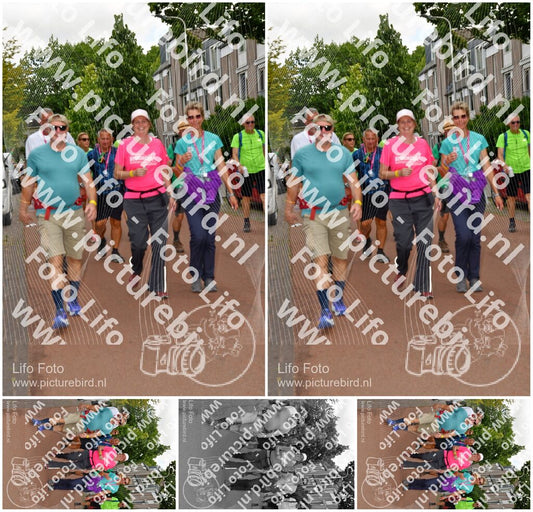 Evenement foto: Nijmeegse Vierdaagse 1169