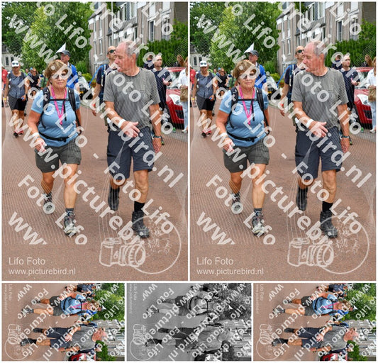 Evenement foto: Nijmeegse Vierdaagse 1169
