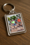 Evenement foto: Nijmeegse Vierdaagse 1169
