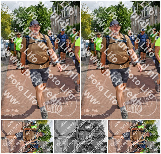 Evenement foto: Nijmeegse Vierdaagse 1169