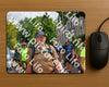Evenement foto: Nijmeegse Vierdaagse 1169