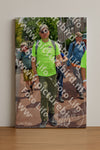 Evenement foto: Nijmeegse Vierdaagse 1169