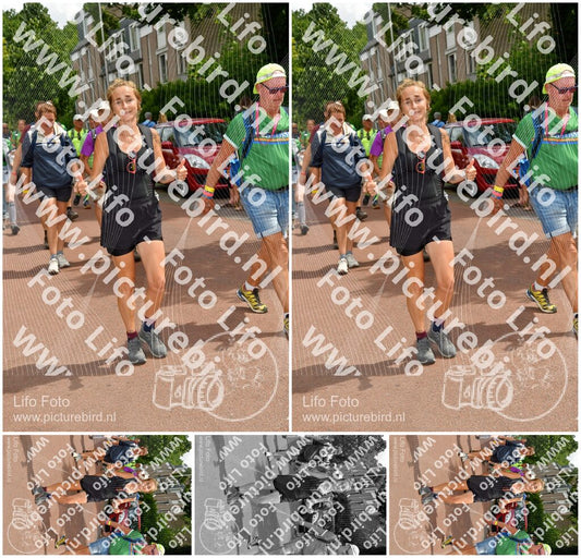 Evenement foto: Nijmeegse Vierdaagse 1169