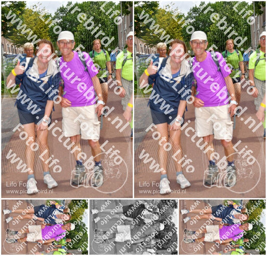 Evenement foto: Nijmeegse Vierdaagse 1169