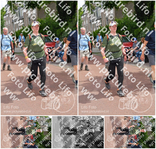Evenement foto: Nijmeegse Vierdaagse 1169