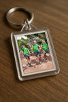 Evenement foto: Nijmeegse Vierdaagse 1169