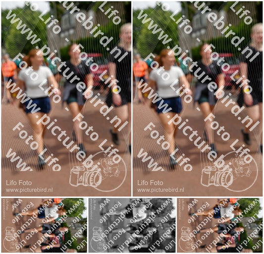 Evenement foto: Nijmeegse Vierdaagse 1169
