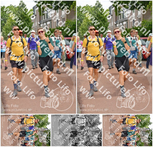 Evenement foto: Nijmeegse Vierdaagse 1169