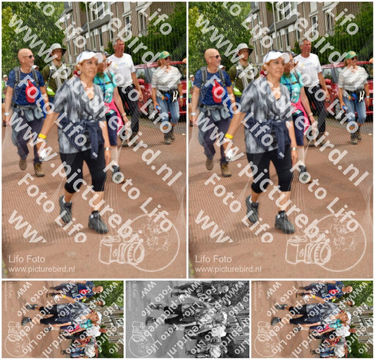 Evenement foto: Nijmeegse Vierdaagse 1169