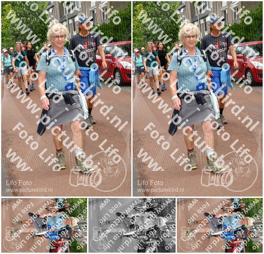 Evenement foto: Nijmeegse Vierdaagse 1169