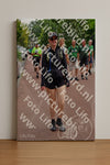 Evenement foto: Nijmeegse Vierdaagse 1168