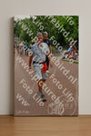 Evenement foto: Nijmeegse Vierdaagse 1168