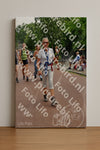 Evenement foto: Nijmeegse Vierdaagse 1168