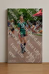 Evenement foto: Nijmeegse Vierdaagse 1168