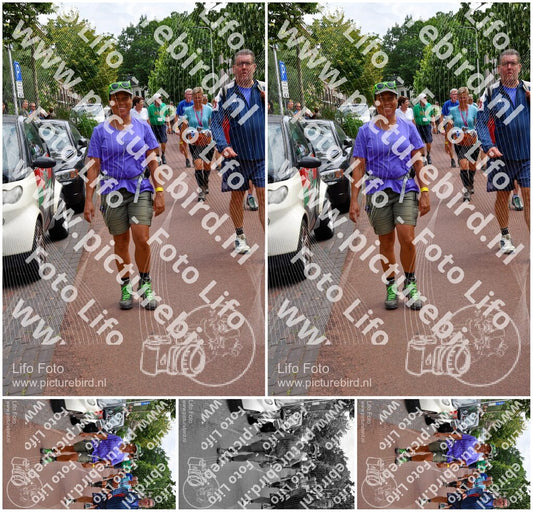 Evenement foto: Nijmeegse Vierdaagse 1168