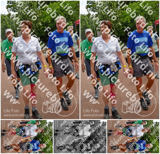 Evenement foto: Nijmeegse Vierdaagse 1168