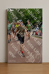Evenement foto: Nijmeegse Vierdaagse 1168