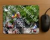 Evenement foto: Nijmeegse Vierdaagse 1168