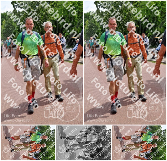 Evenement foto: Nijmeegse Vierdaagse 1168