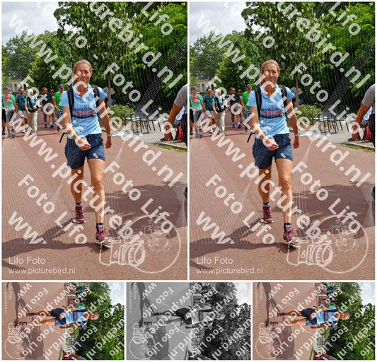 Evenement foto: Nijmeegse Vierdaagse 1168