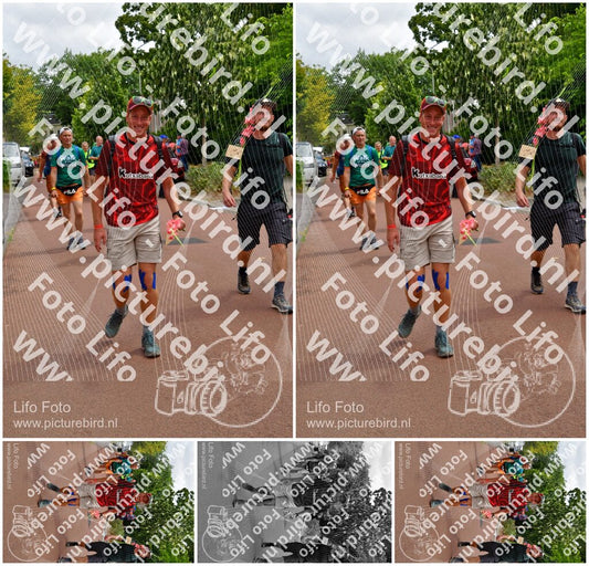 Evenement foto: Nijmeegse Vierdaagse 1168