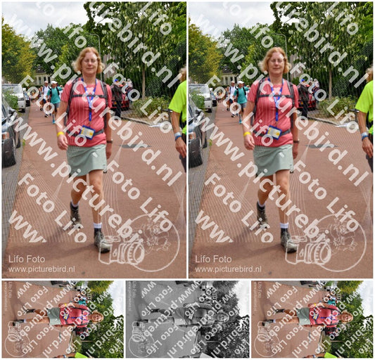 Evenement foto: Nijmeegse Vierdaagse 1168